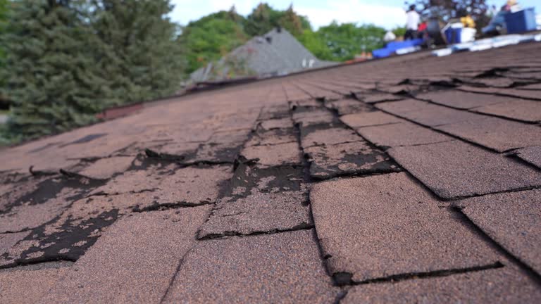 Fast & Reliable Emergency Roof Repairs in Rogers, AR